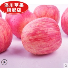 陕西洛川苹果水果新鲜红富士40枚80mm新鲜水果红富士苹果批发包邮
