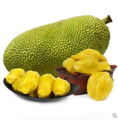 海南菠萝蜜22斤新鲜水果年货特产现摘现发包邮