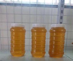 桂花蜂蜜 1000g 包邮
