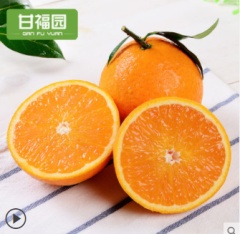 【现摘现发】四川青见柑橘10斤新鲜当季水果桔子丑橘沃柑批发包邮