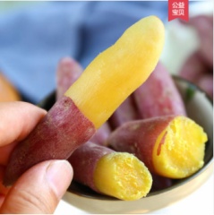 新鲜临安天目山小香薯5斤红薯板栗番薯迷你金手指沙地瓜黄心山芋