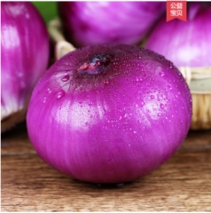 鲜货 陕西紫皮洋葱9斤净重农家自种食材时令新鲜蔬菜