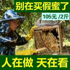 【电商扶贫】衡山县新桥镇纯天然土蜂蜜 500gx2瓶装包邮