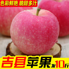 西吉县苹果当季红富士苹果水果新鲜脆甜包邮10斤大果冰糖心萍果