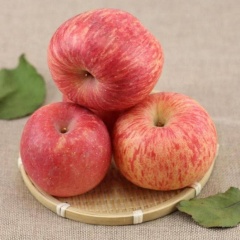 惊爆价只需28.8元5斤装山东红富士苹果