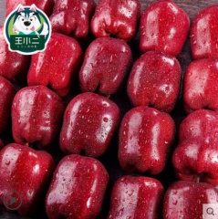 甘肃天水花牛苹果10斤水果新鲜当季包邮红蛇果整箱应季红苹果平果