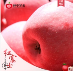 甘肃特产 静宁苹果 红富士水果 脆甜新鲜 健康营养 顺丰包邮14斤