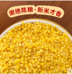 新货黄小米粥吃的小黄米月子米内蒙古赤峰特产黄金苗杂粮真空5斤