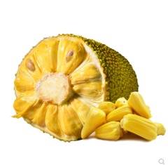 海南三亚菠萝蜜当季新鲜水果一整个整15-20斤波罗蜜特产包邮红