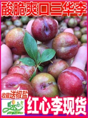 正宗广西早熟三华李芙蓉珍珠李孕妇水果新鲜酸脆红心冬李子果现货