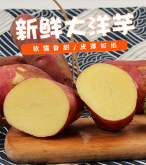 云南土豆新鲜10斤大号红皮黄心农家自种小蔬菜产品包邮马铃薯洋芋