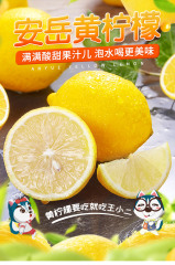 四川安岳黄柠檬6斤新鲜水果包邮精选皮薄一级香水鲜柠檬青特产