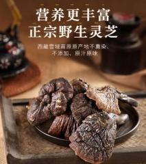 西藏特产灵芝野生正宗林芝赤灵芝草灵芝片野生小灵芝整枝250克纯