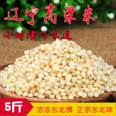 东北特产辽宁6A农家白高粱新米白高粱米食用五谷杂粮粗粮5斤包