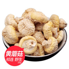 青海特产黄菇干货祁连山野生小黄蘑菇野生菌皇菇丁子菇黄蘑菇250g