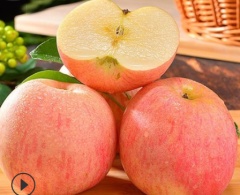 冰糖心爆甜红富士苹果鲜果丑苹果新鲜应季水果 山西苹果 带箱5斤中果