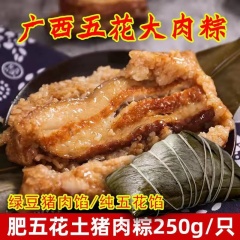 广西正宗鲜肉粽子大250g*2新鲜早餐速食半成品端午五花肉粽粽子 五花绿豆肉粽*4个