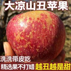 【冰糖心苹果】正宗大凉山盐源丑苹果当季新鲜红富士苹果水果整箱 带箱9.5-10斤大果（精选热卖）