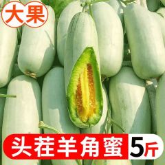 山东羊角蜜甜瓜新鲜孕妇水果应季头茬现摘酥脆甜蜜瓜脆瓜香瓜批发 5斤（品质升级装）店长推荐
