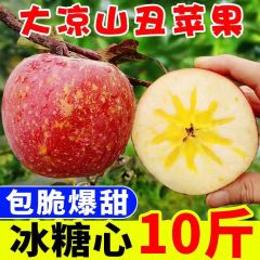 四川大凉山丑苹果冰糖心野生水果新鲜应季超脆甜红富士整箱批发价 10斤（大果）精选