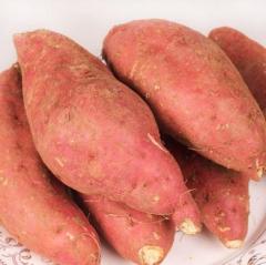 红心蜜薯10斤红薯新鲜湖南农家自种香薯地瓜番薯