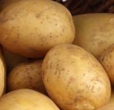 （祁东友江村）土豆(马铃薯）农家传统农产品自产自销无公害生产地每公斤6.0元包邮到家