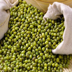 薄皮绿豆 新货农家自产小绿豆 500克 包邮有机绿豆食品 五谷杂粮