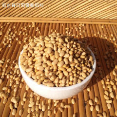衡祁村农家自种黄豆非转基因杂粮纯天然有机的发豆芽打豆浆专用