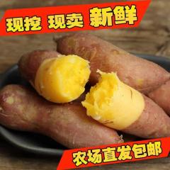 祁东县衡祁村小香薯黄心新鲜有机番薯红薯地瓜山芋500g