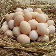 正宗湖南衡山农家土鸡蛋农户散养鸡蛋纯天然绿色营养月子蛋30枚包邮