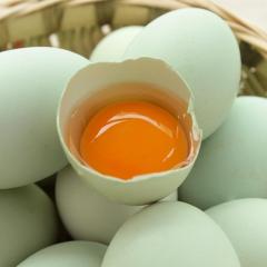 青壳鸡蛋绿壳土鸡蛋乌骨鸡蛋散养生态营养土鸡蛋绿壳